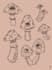 design a custom mushroom tattoo