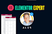 elementor expert for wordpress websites