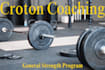 give you my professional strength training program