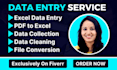 do data entry, excel data entry, data cleaning, data collection and PDF to excel