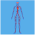 assist in anatomy and physiology