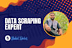 be your data scraping expert