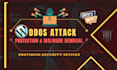 give you protection against ddos attack,malware removal or security