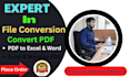 do accurate file conversion, manual convert, pdf to excel