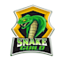 provide 2 modern snake logo design within 24 hours