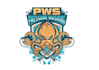 make a custom pressure washing logo with very express delivery