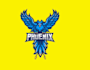 design awesome phoenix mascot  logo within 1 day
