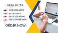do impeccable data entry, web scrapping and file conversion