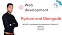 create a website using python and mongodb