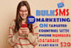 do text message and bulk SMS marketing one time blast SMS