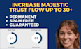 increase tf majestic trust flow