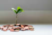 provide real estate investment coaching