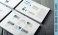 design your professional brand style guide and company logo