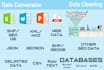do data conversion and data cleaning