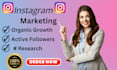 instagram marketing for supper fast organic growth