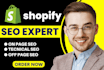 provide monthly advanced shopify SEO for higher google rankings
