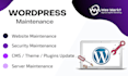do website maintenance, speed optimization, security updates