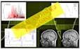 provide professional image and signal processing services and ai integration