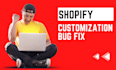 do shopify customization, bugs fix, and shopify website 24 hours