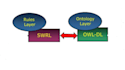 develop an ontology, use sparql and swrl to validate and classify the data