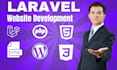 build, design, redesign, clone, optimize wordpress, PHP laravel websites