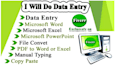 do data entry, data management and data collection