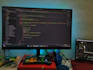 teach you python and javascript