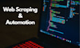 provide web scraping services and browser automation