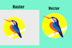 vector tracing, logo vectorizing, raster to vector trace