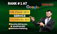 do on page SEO and technical optimization for wordpress