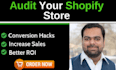 audit your shopify dropshipping store or shopify website