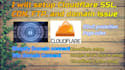 setup cloudflare SSL, CDN, ddos, domain issues any website