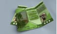 design urgent professional trifold brochure