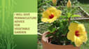 advice for vegetable garden, with permaculture