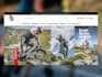 develop a topnotch business website