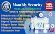 provide monthly website maintenance monthly support for security and updates
