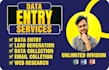 do data entry, lead generation, web research and data collection