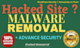 secure wordpress remove malware, virus, recover hacked site