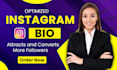 write SEO optimized instagram bio that attracts and converts