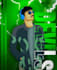 vector art of your photo