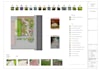 design your front yard or backyard to your liking