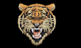 convert your logo to dst,pes,exp using wilcom fast embroidery digitizing service