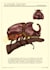 make you scientific animal ink illustrations