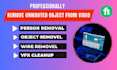remove any unwanted object, wire, person or text from video