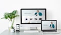 make business website using wix and wordpress