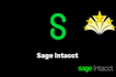 provide best practice consults for sage intacct