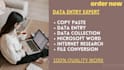 do the fastest data entry  and internet searching work in 1 day