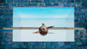 do anamorphic 3d ooh billboard animations
