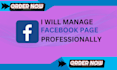 manage your facebook page professionally