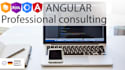 provide expert angular consulting for your web apps success